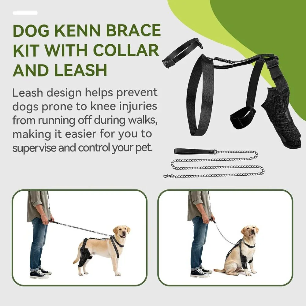 Dog Knee Brace for Back Leg